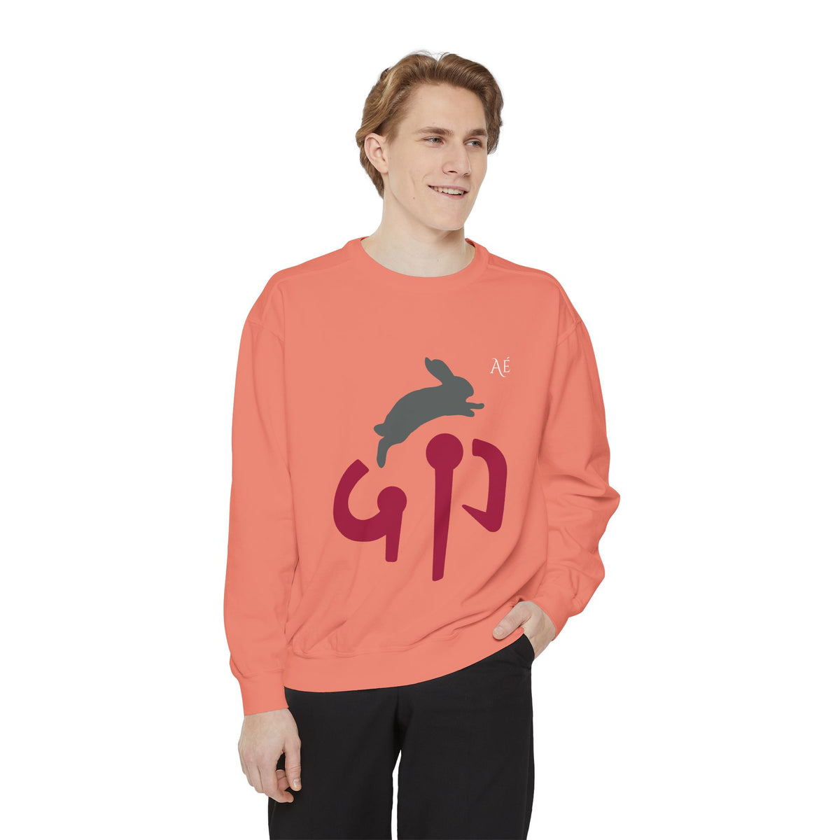 Rabbit (卯) Jūnishi Zodiac Animals | 4 of 12 | Astré Crewneck Terracotta Sweatshirt
